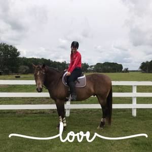 Meet your Posher, Meredith